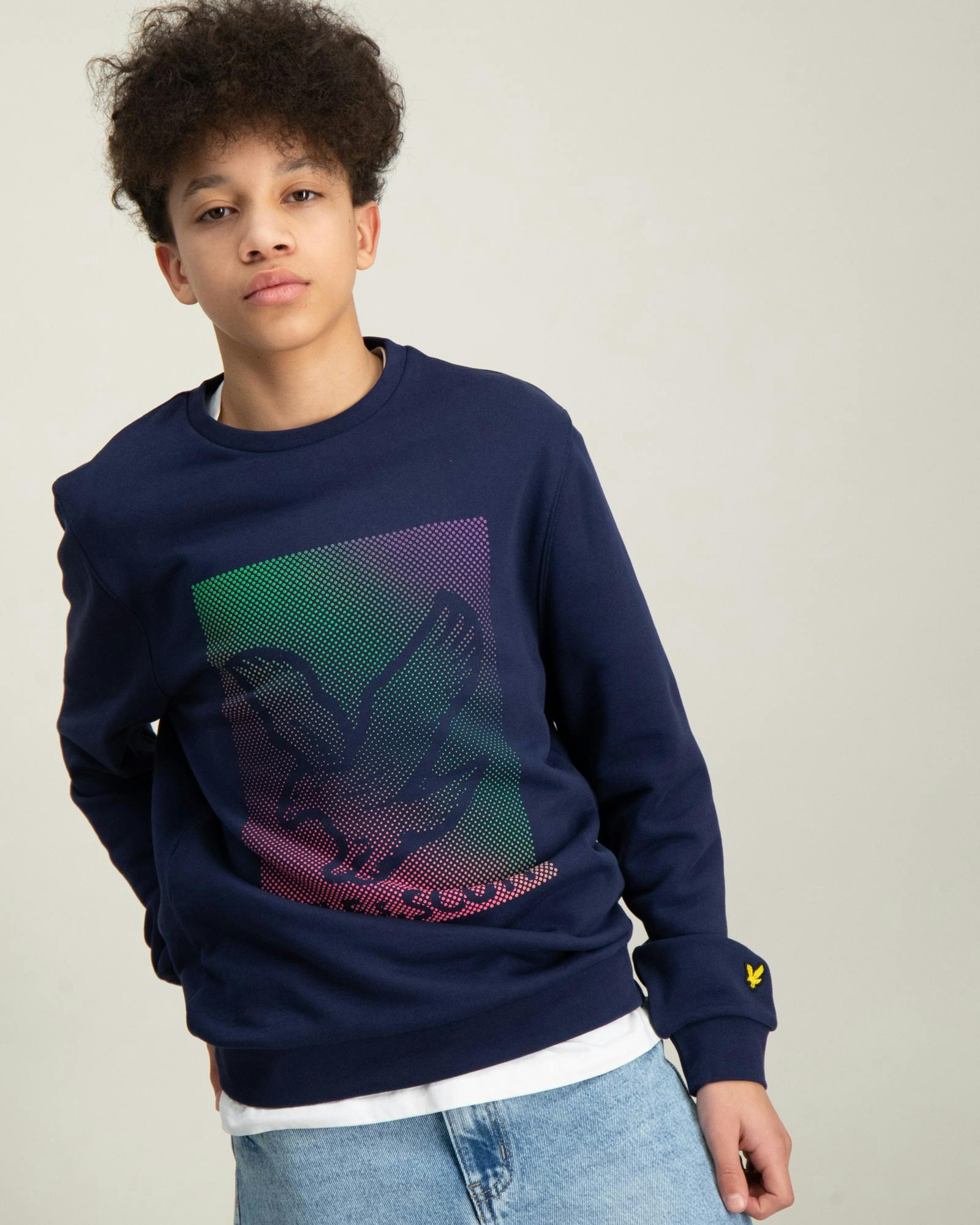 Dotted Eagle Graphic Sweatshirt